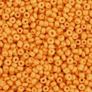 Seed beads 11/0 (2mm) Citrus orange